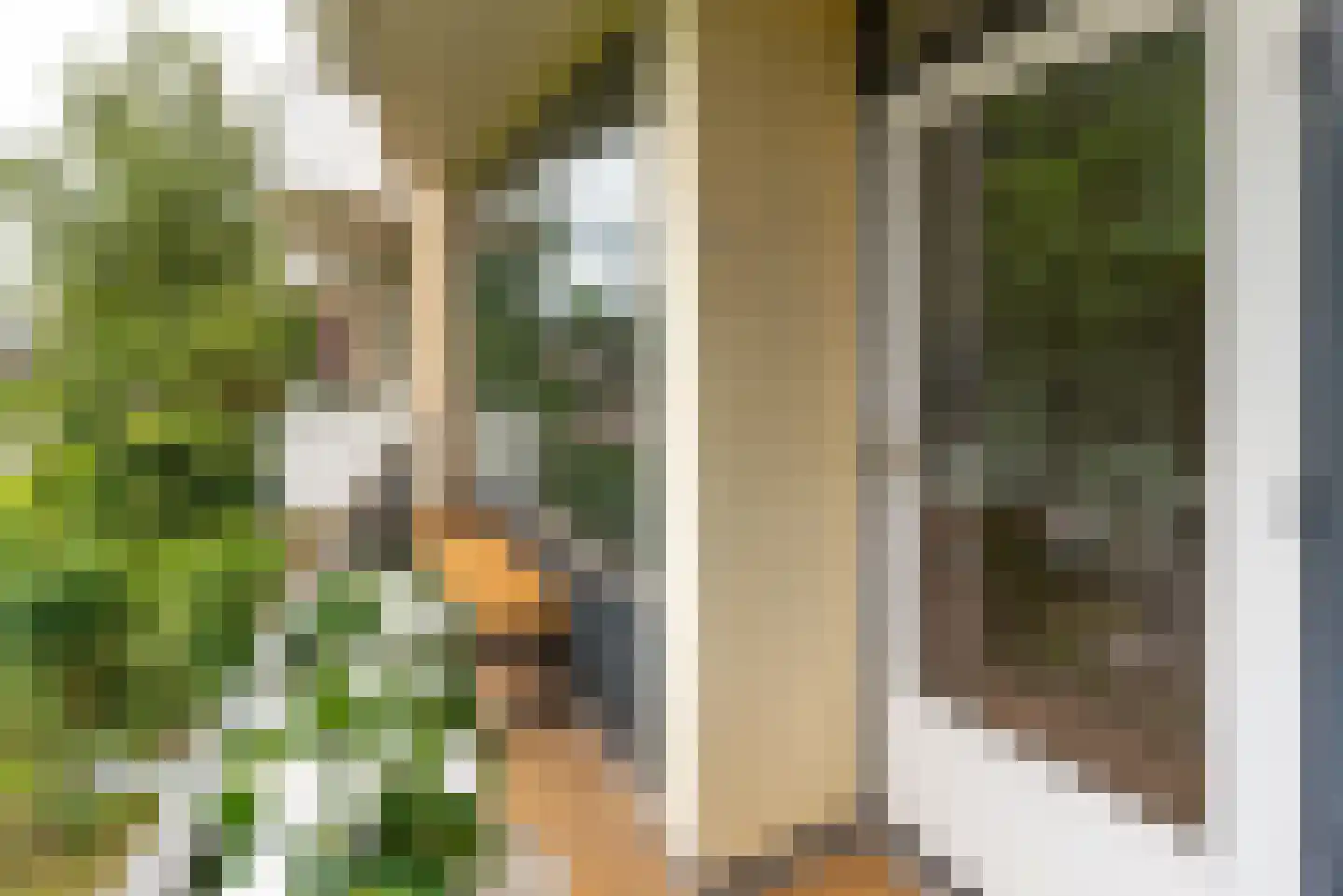 Graaf Wichmanlaan 13 A A8 Bussum thumbnail 15
