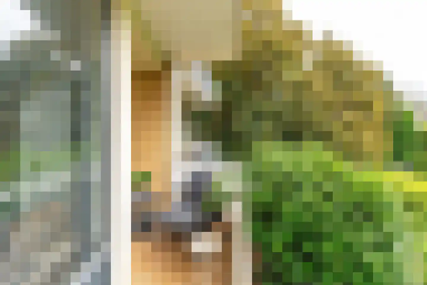 Graaf Wichmanlaan 13 A A8 Bussum thumbnail 16
