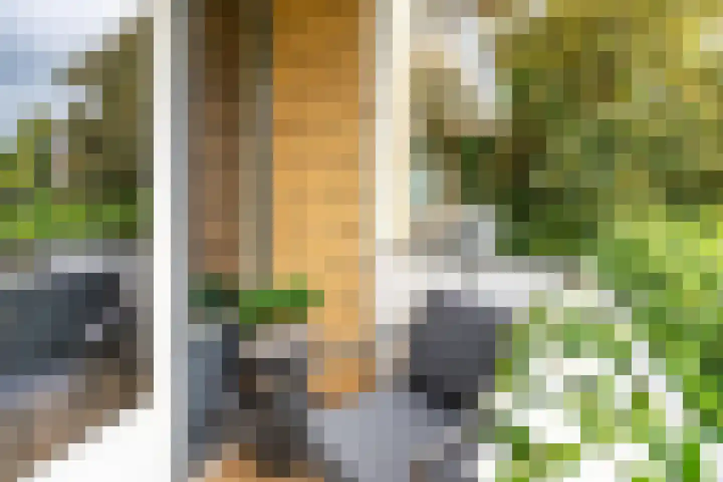 Graaf Wichmanlaan 13 A A8 Bussum thumbnail 17