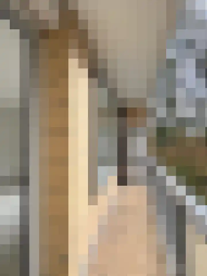 Graaf Wichmanlaan 13 A B5 Bussum thumbnail 6