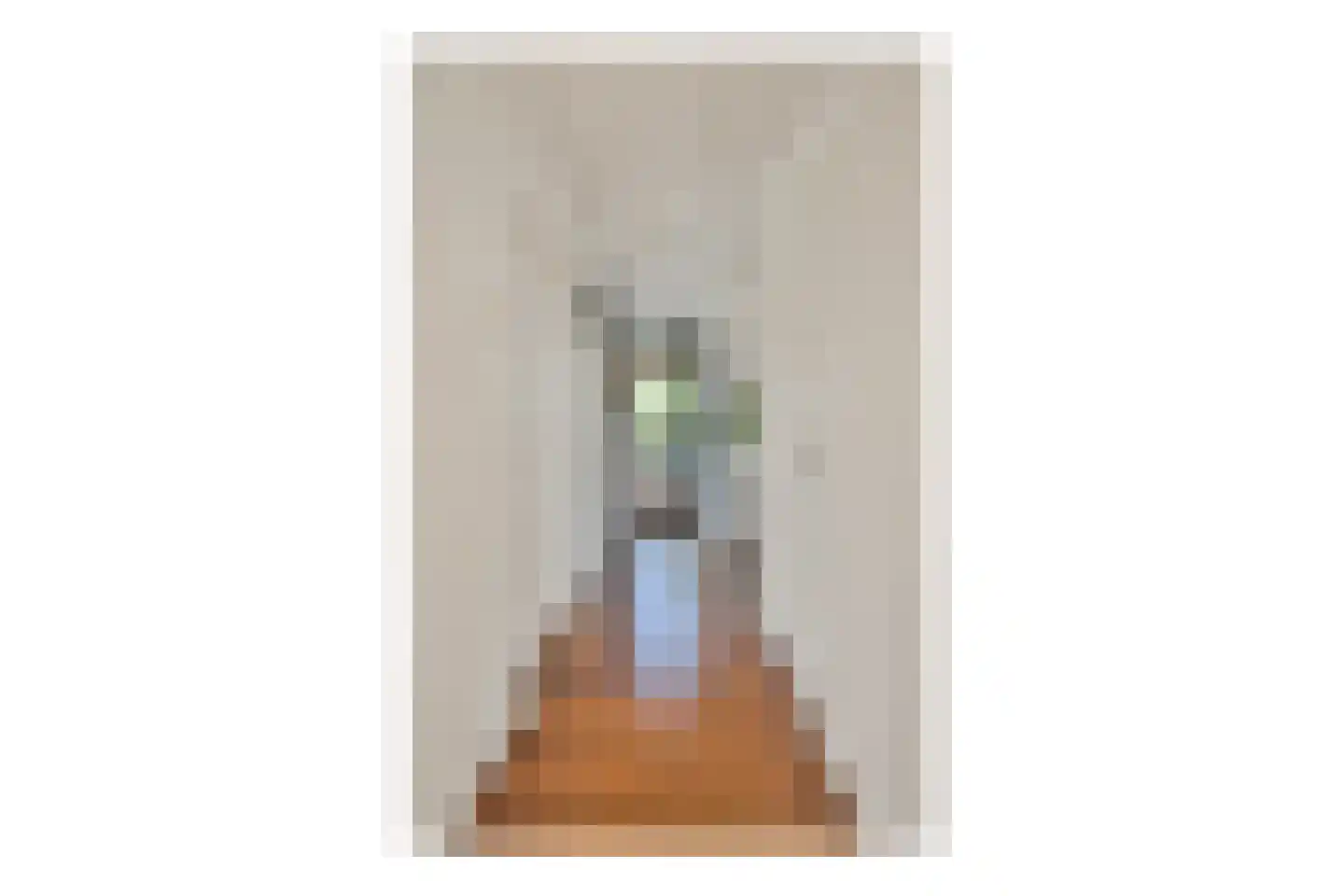 Graaf Wichmanlaan 13 A B8 Bussum thumbnail 18