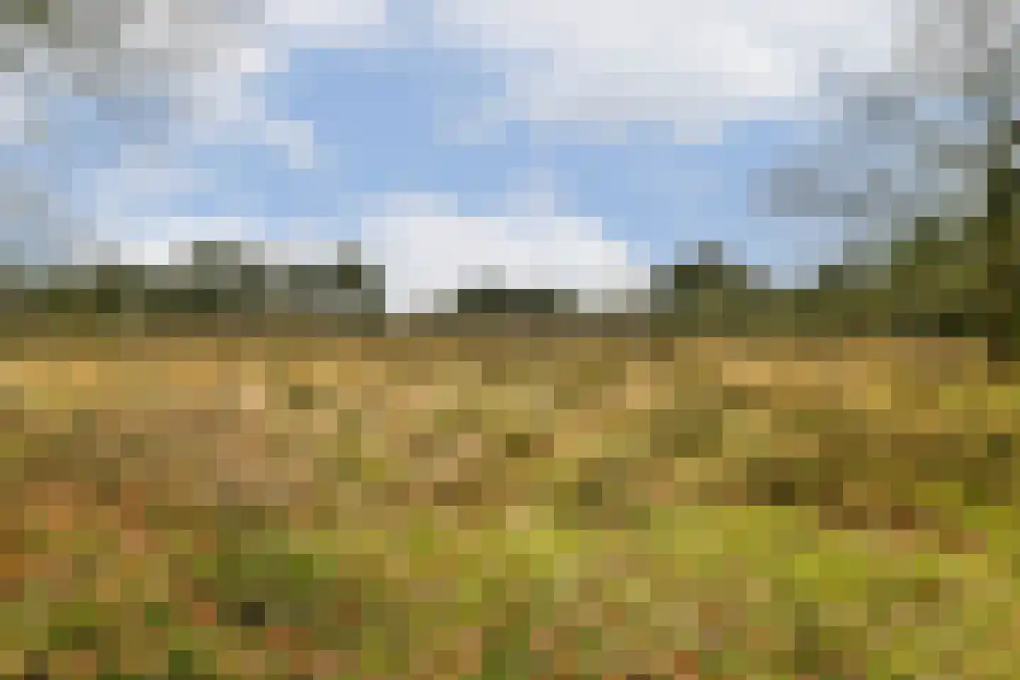 Graaf Wichmanlaan 13 A B8 Bussum thumbnail 24
