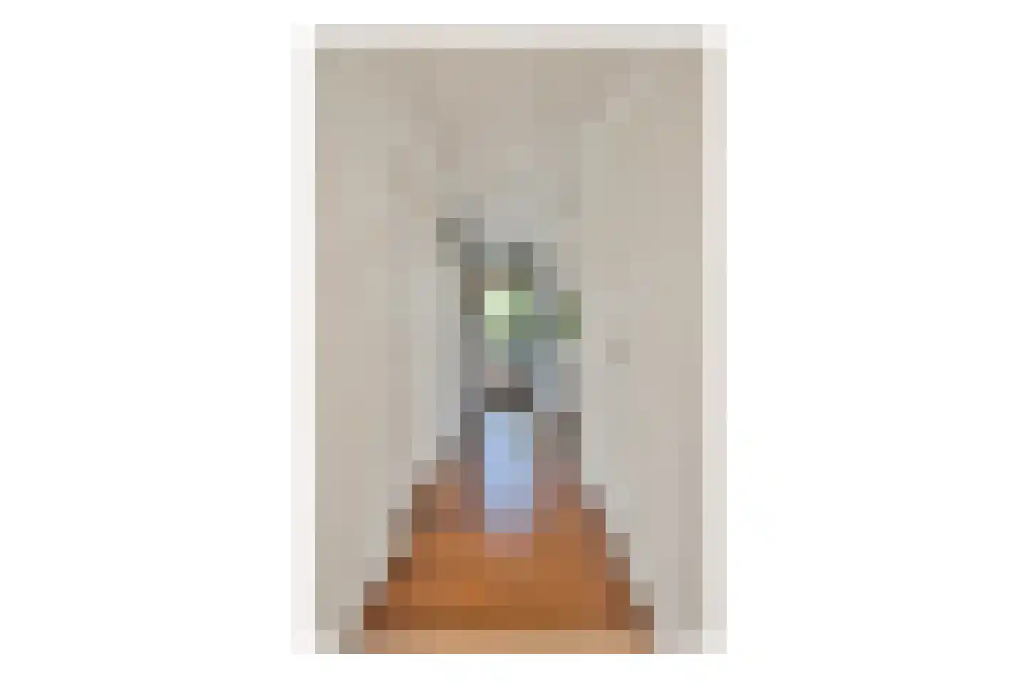 Graaf Wichmanlaan 13 A B8 Bussum thumbnail 8