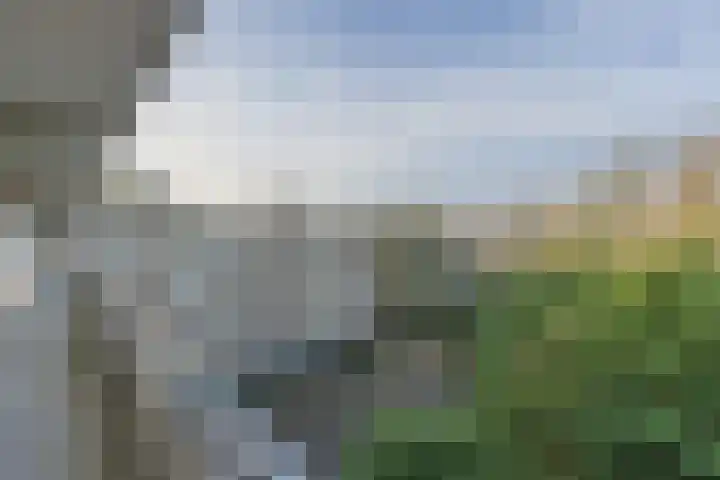 Graaf Wichmanlaan 13 A D8 Bussum thumbnail 23