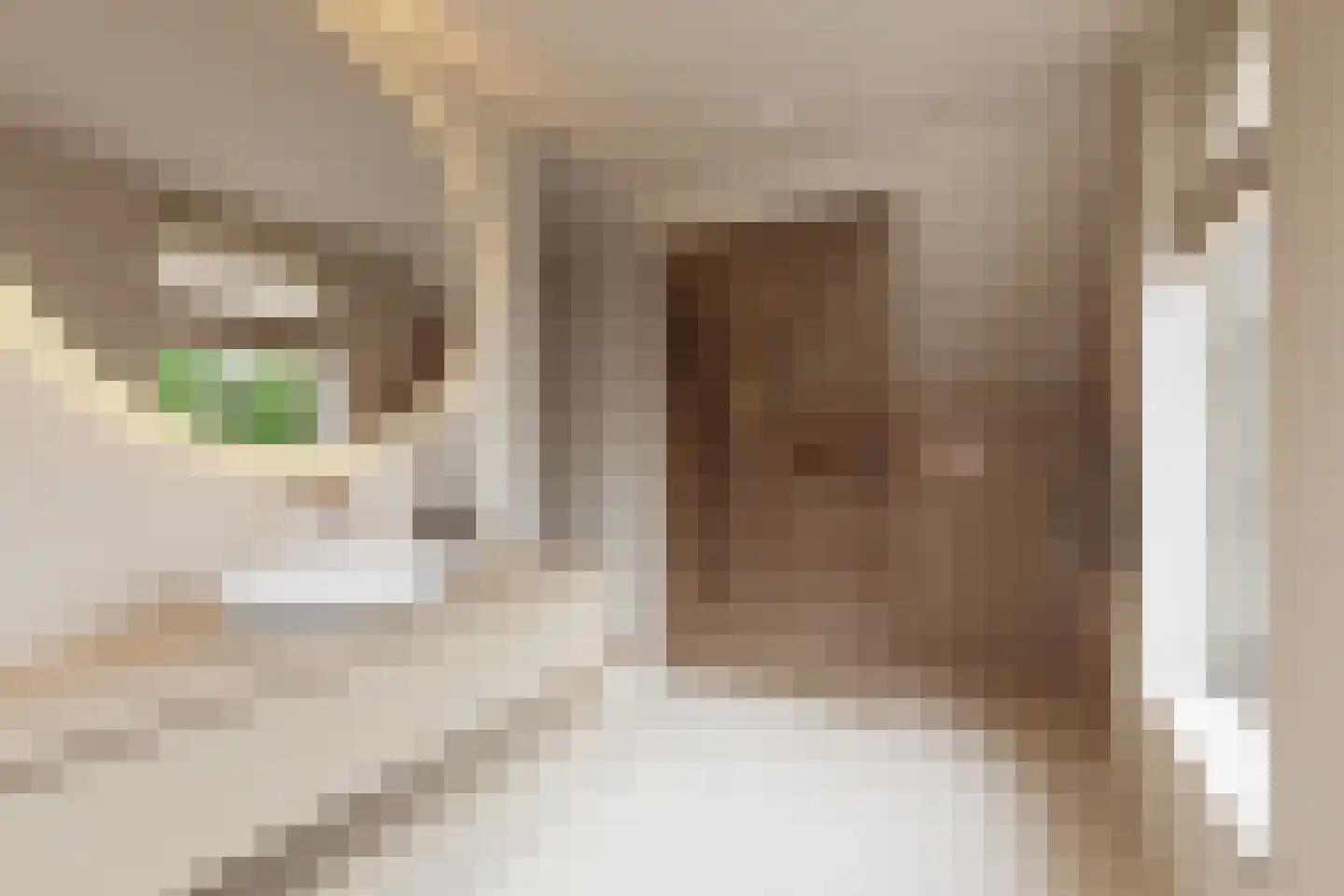 Graaf Wichmanlaan 28 Bussum thumbnail 42