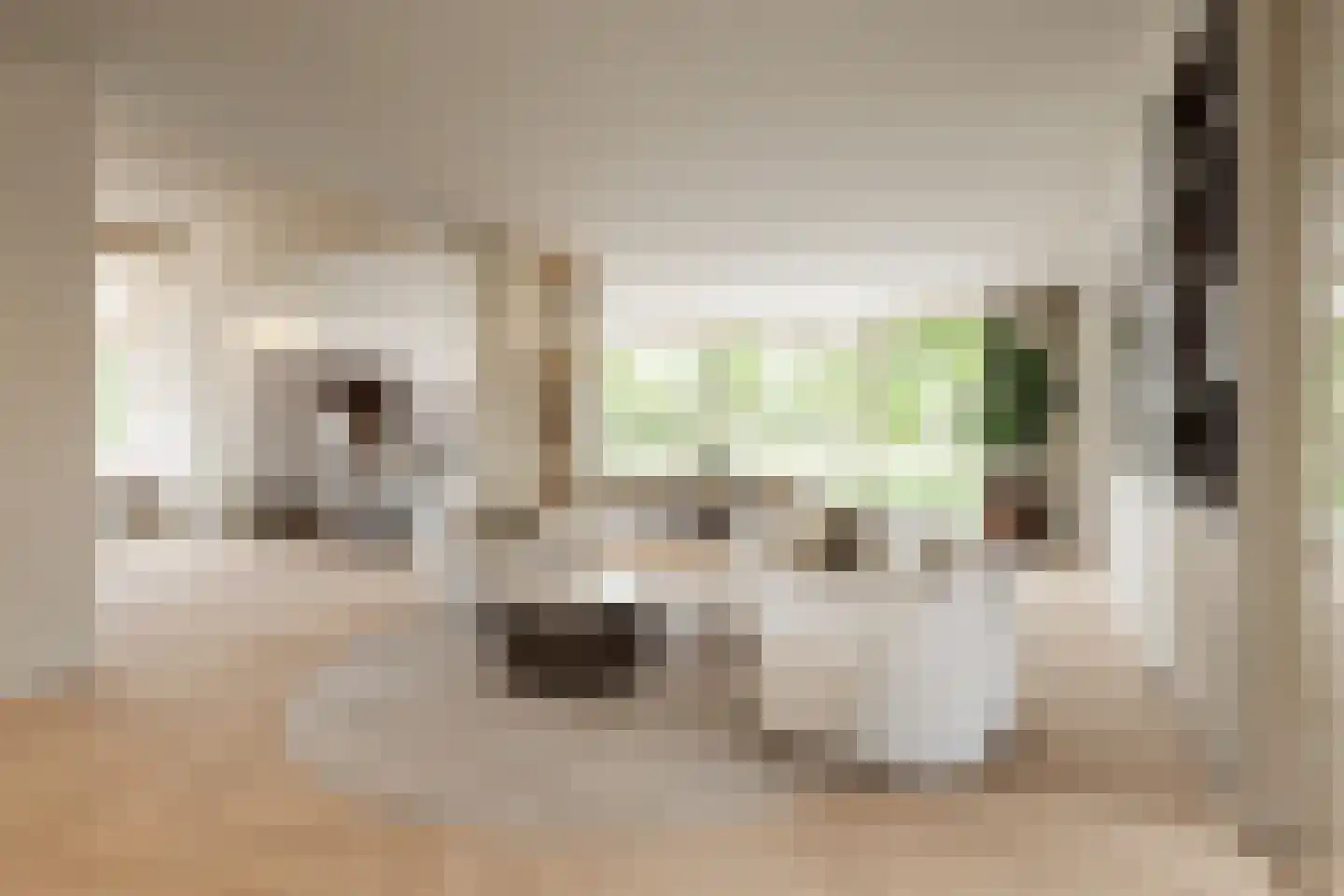 Graaf Wichmanlaan 28 Bussum thumbnail 5