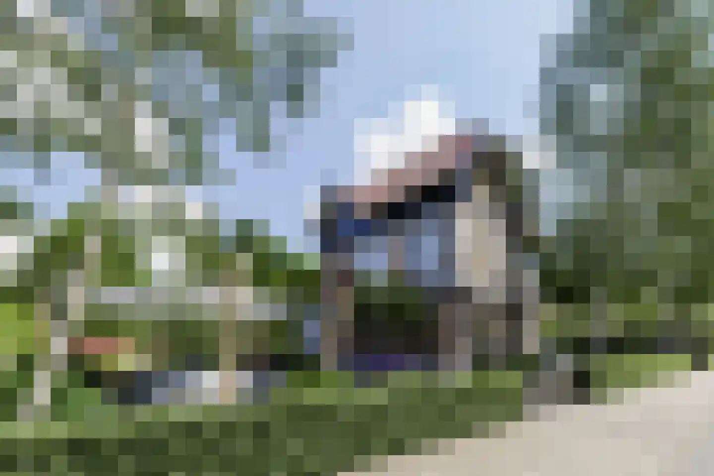 Graaf Wichmanlaan 28 Bussum thumbnail 51