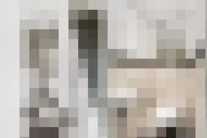Graaf Wichmanlaan 4 Loosdrecht thumbnail 7