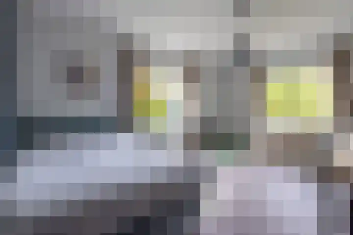 Graaf Wichmanlaan 44 Bussum thumbnail 22