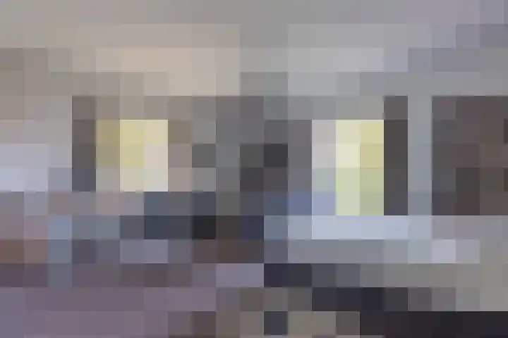 Graaf Wichmanlaan 44 Bussum thumbnail 24