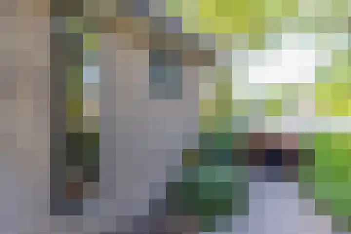 Graaf Wichmanlaan 44 Bussum thumbnail 37