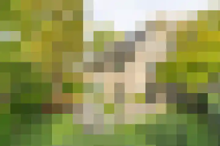 Graaf Wichmanlaan 44 Bussum thumbnail 4