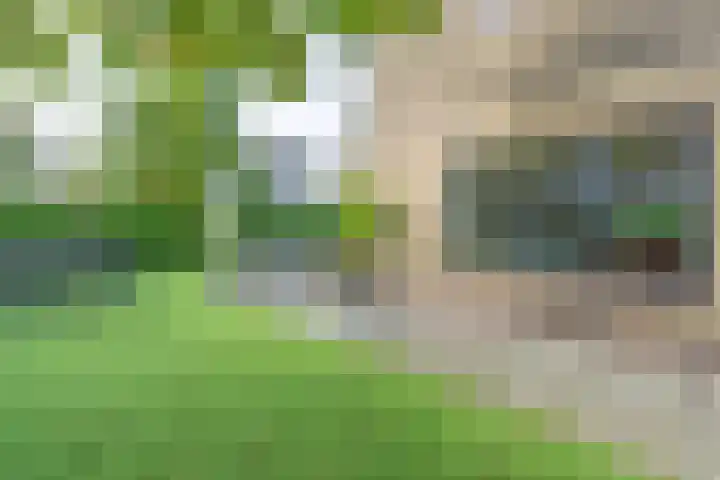 Graaf Wichmanlaan 44 Bussum thumbnail 43