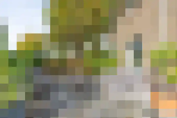 Graaf Wichmanlaan 44 Bussum thumbnail 44