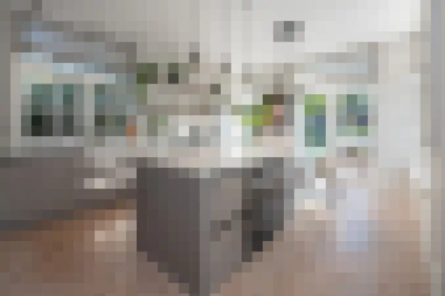 Graaf Wichmanlaan 50 Bussum thumbnail 18