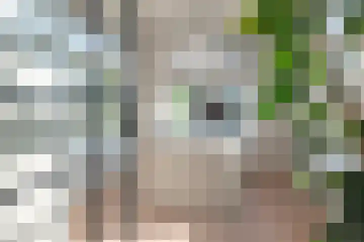 Graaf Wichmanlaan 50 Bussum thumbnail 30