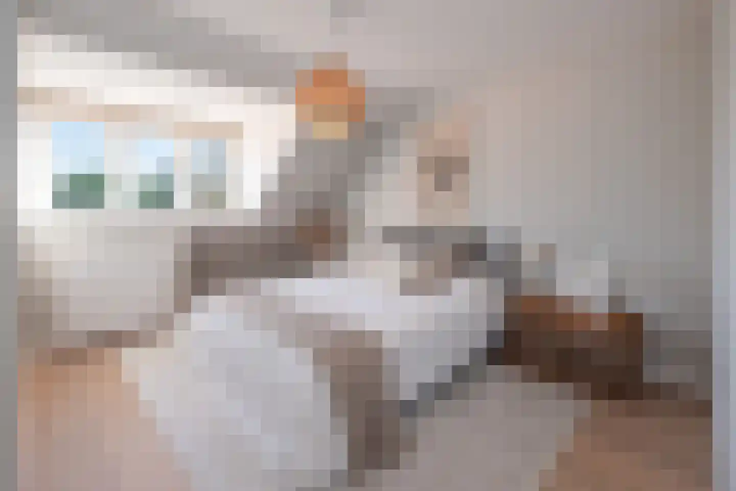 Graaf Wichmanlaan 50 Bussum thumbnail 37