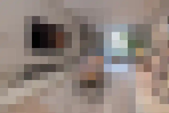 Graaf Wichmanlaan 50 Bussum thumbnail 4