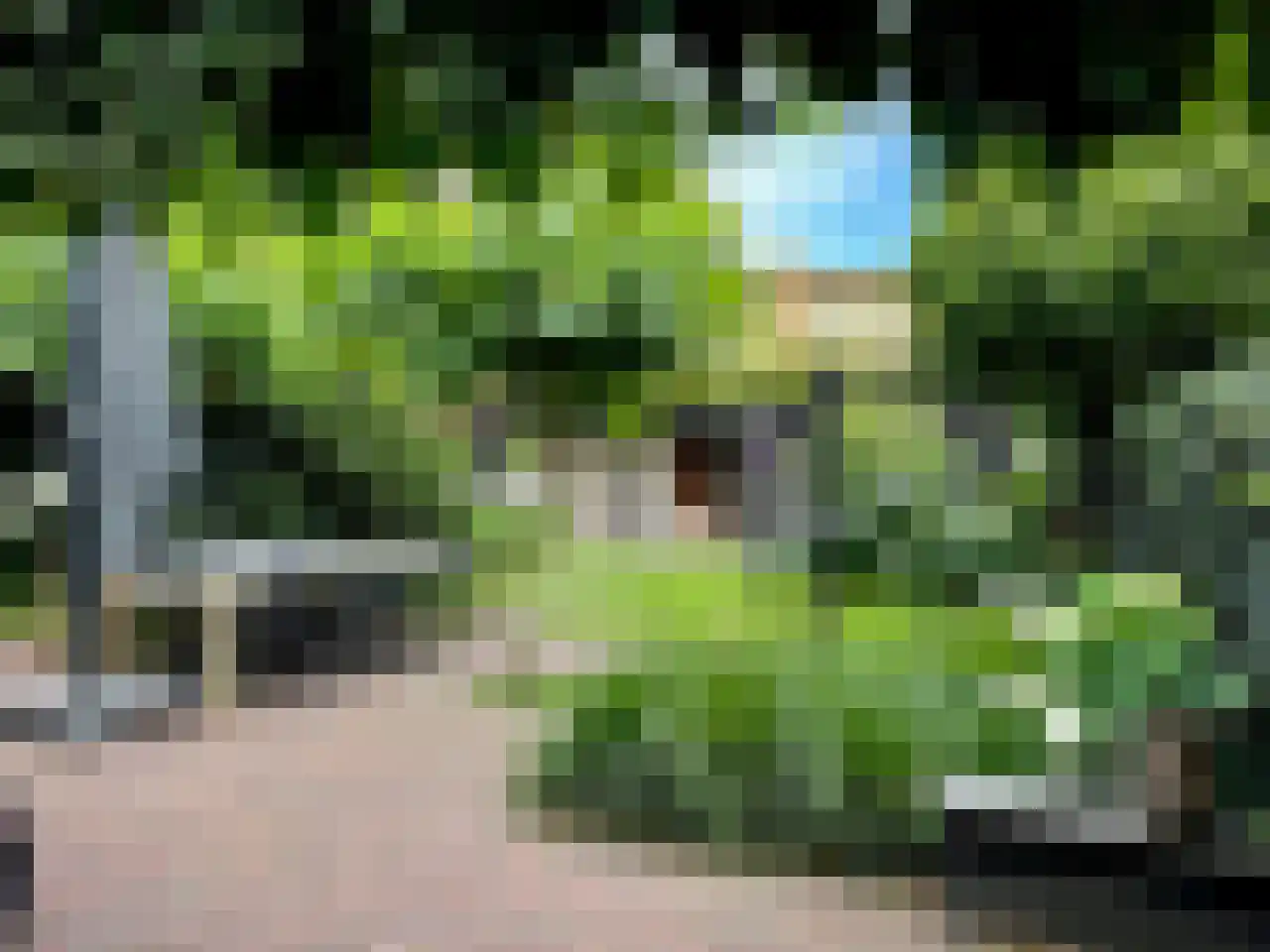 Graaf Wichmanlaan 50 Bussum thumbnail 45