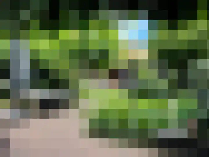 Graaf Wichmanlaan 50 Bussum thumbnail 45