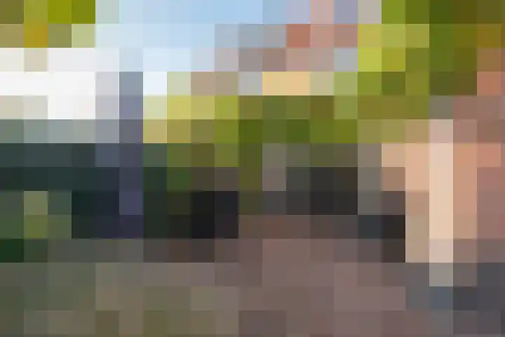 Graaf Wichmanlaan 50 Bussum thumbnail 48