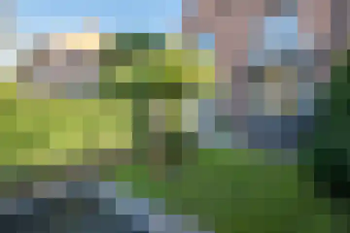 Graaf Wichmanlaan 50 Bussum thumbnail 63