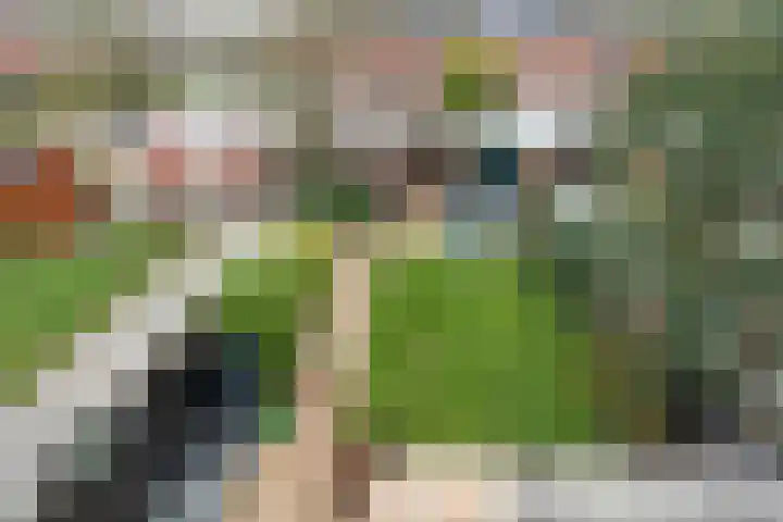 Graaf Wichmanlaan 6 Loosdrecht thumbnail 27