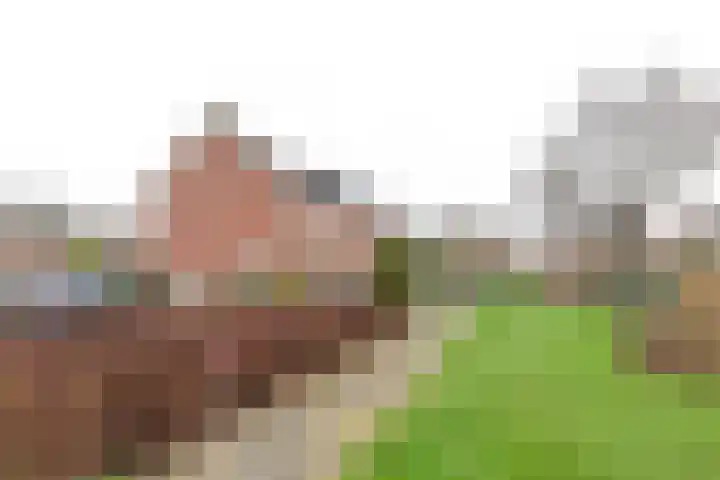 Graaf Wichmanlaan 6 Loosdrecht thumbnail 30