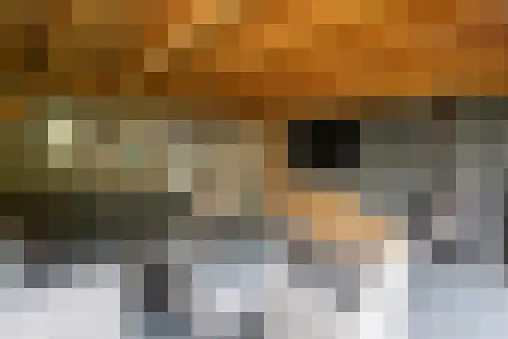 Graaf Wichmanstraat 15 Borculo thumbnail 32