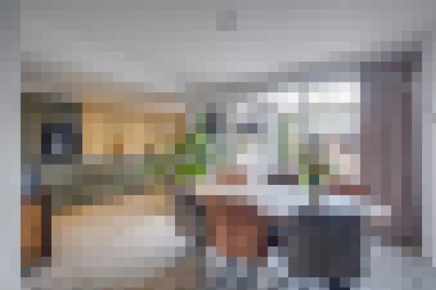 Graaf Wichmanstraat 7 Borculo thumbnail 10