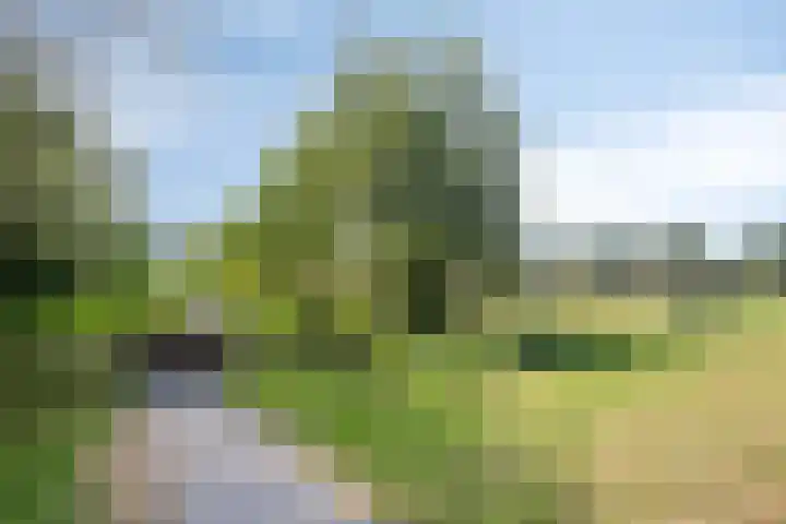 Graaf Willem de Oudelaan 102 Naarden thumbnail 26