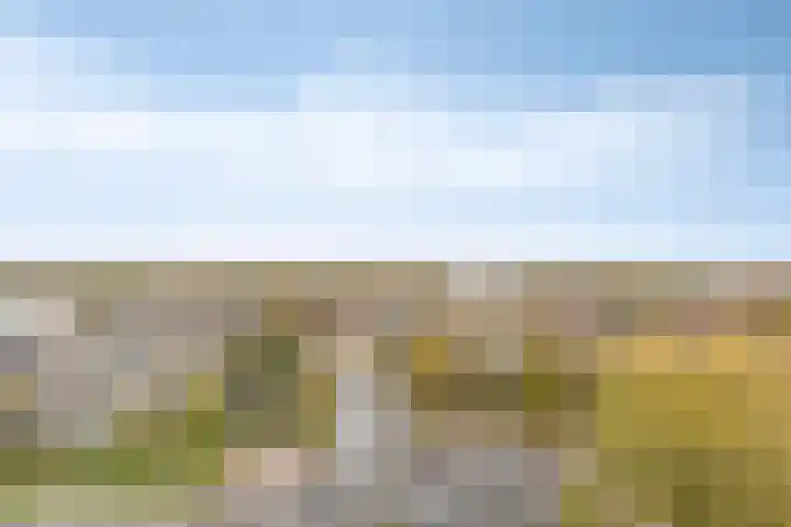 Graaf Willem de Oudelaan 177 Naarden thumbnail 28