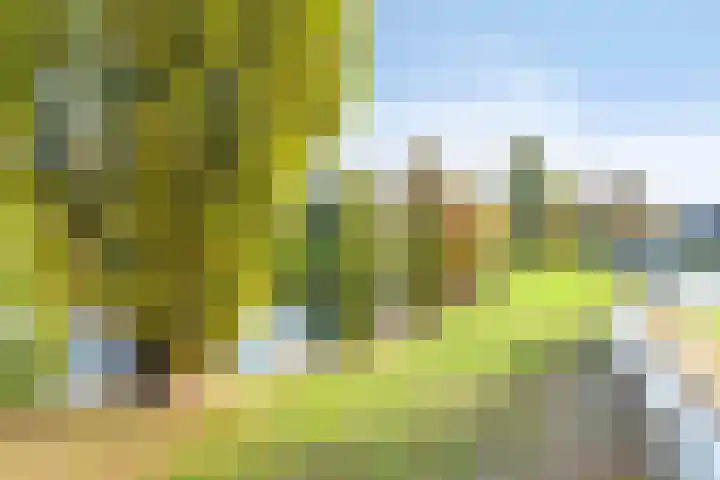 Graaf Willem de Oudelaan 177 Naarden thumbnail 31