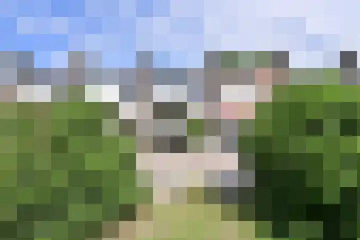 Graaf Willem de Oudelaan 201 Naarden thumbnail 20