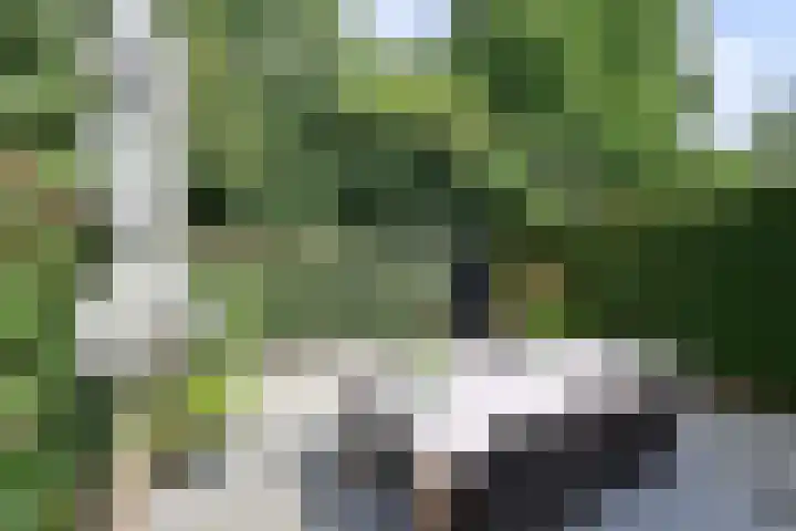 Graaf Willem de Oudelaan 201 Naarden thumbnail 21