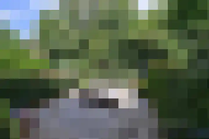 Graaf Willem de Oudelaan 201 Naarden thumbnail 22