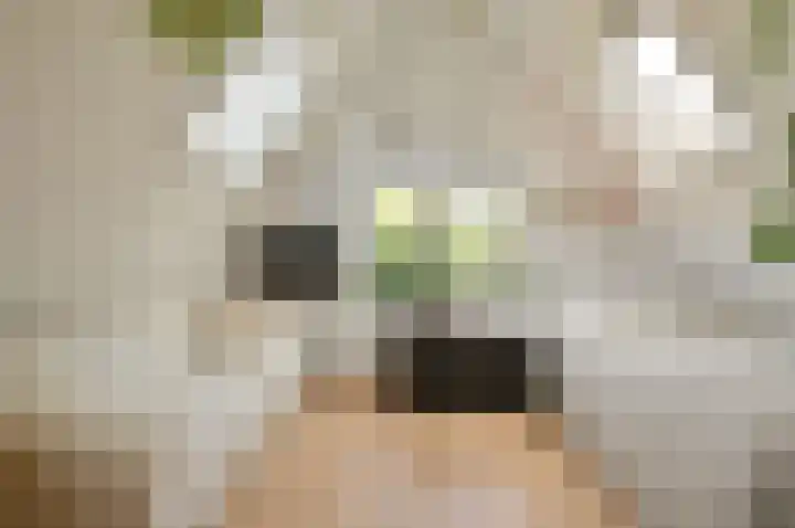 Graaf Willem de Oudelaan 24 Naarden thumbnail 15
