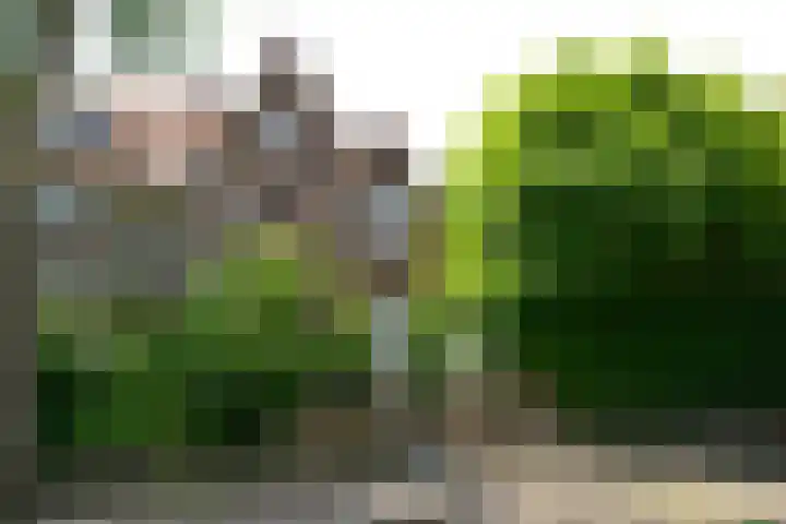 Graaf Willem de Oudelaan 24 Naarden thumbnail 28