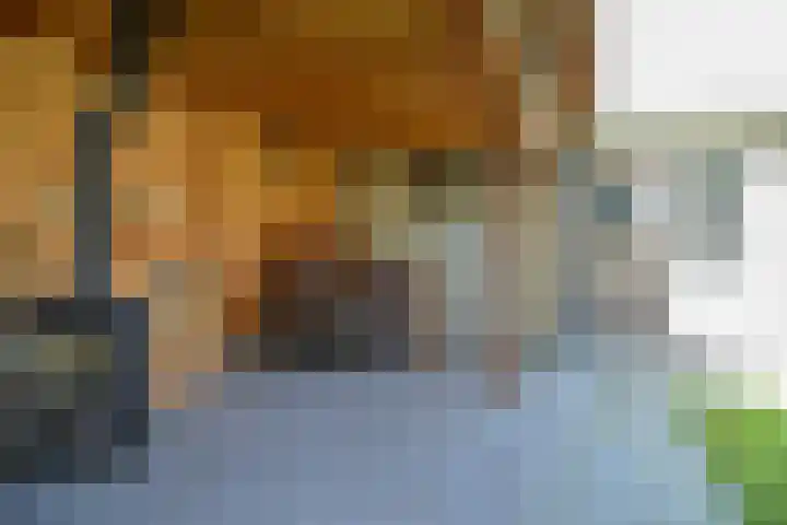 Graaf Willem de Oudelaan 24 Naarden thumbnail 31