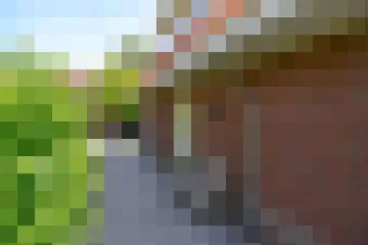 Graaf Willem de Oudelaan 24 Naarden thumbnail 34