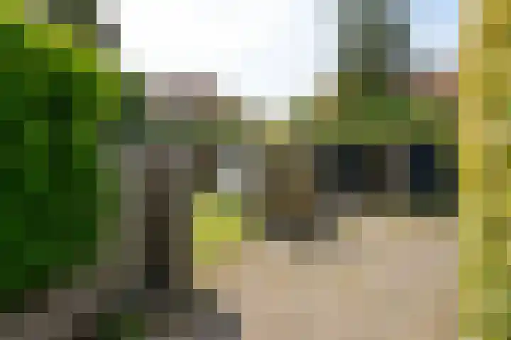 Graaf Willem de Oudelaan 24 Naarden thumbnail 35