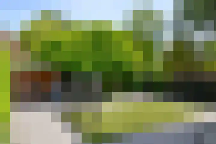 Graaf Willem de Oudelaan 24 Naarden thumbnail 36