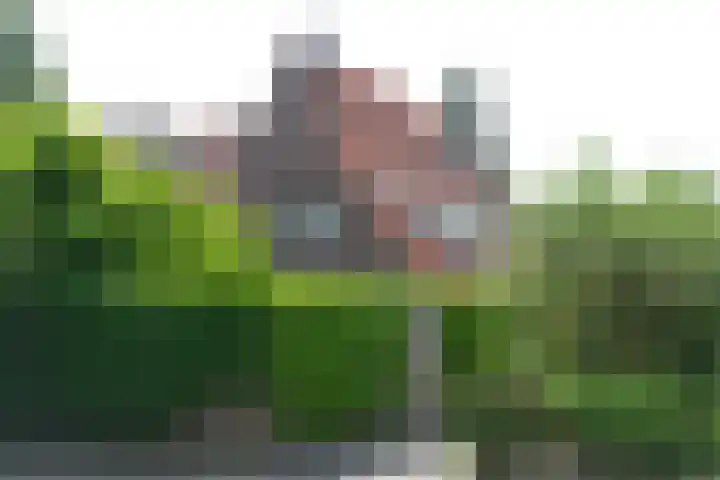 Graaf Willem de Oudelaan 24 Naarden thumbnail 37