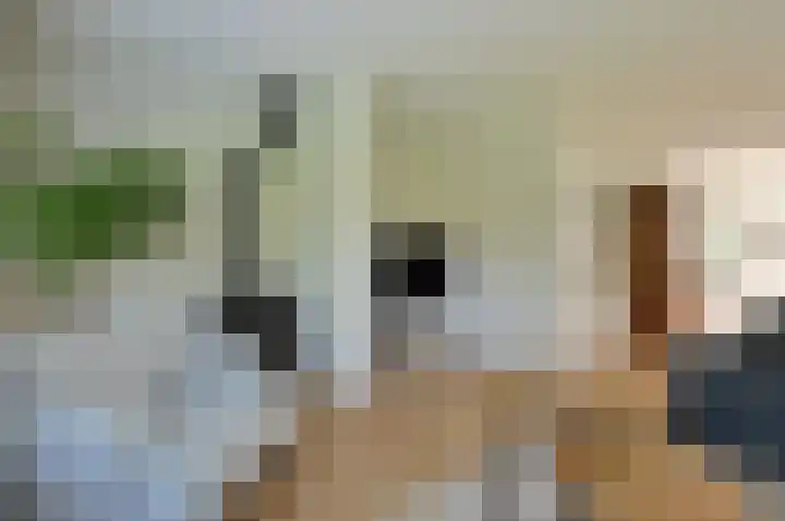 Graaf Willem de Oudelaan 24 Naarden thumbnail 5