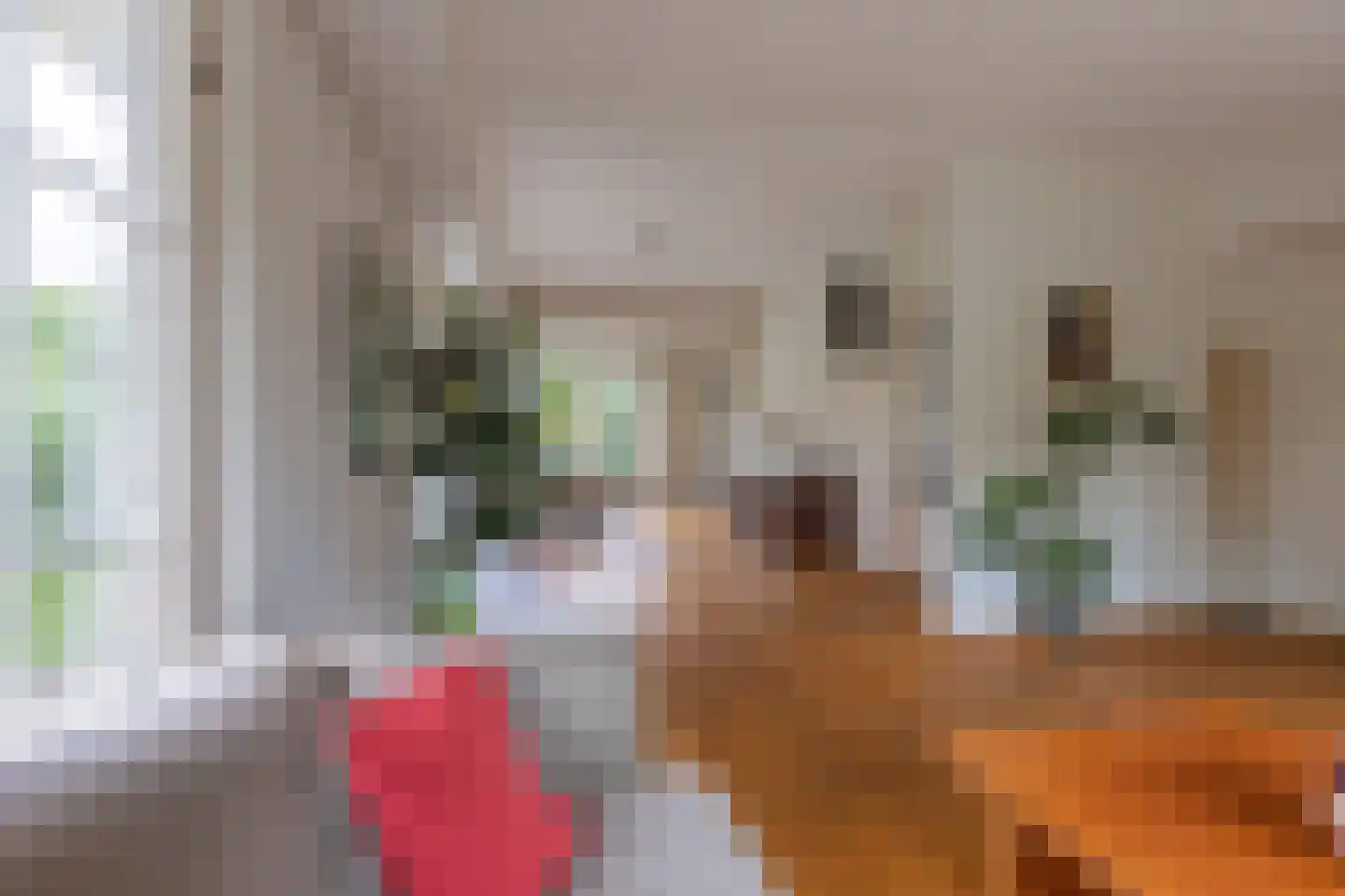 Graaf Willem de Oudelaan 26 Naarden thumbnail 13