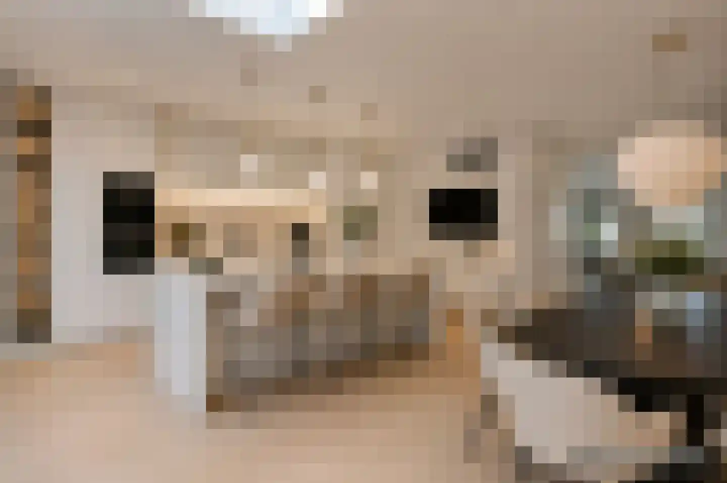 Graaf Willem de Oudelaan 26 Naarden thumbnail 29