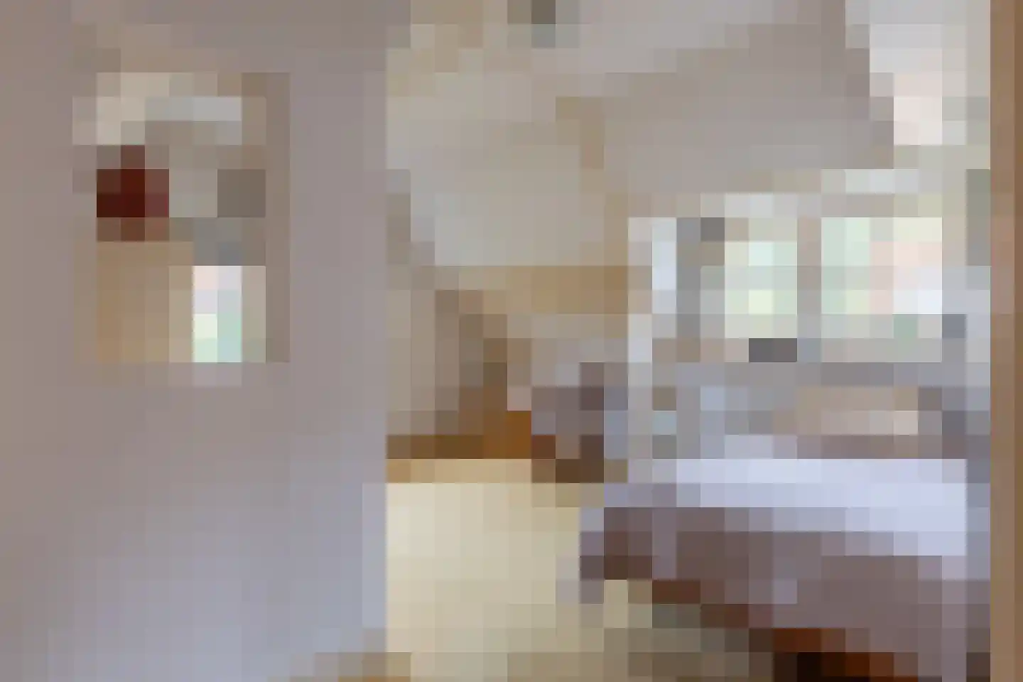 Graaf Willem de Oudelaan 26 Naarden thumbnail 41
