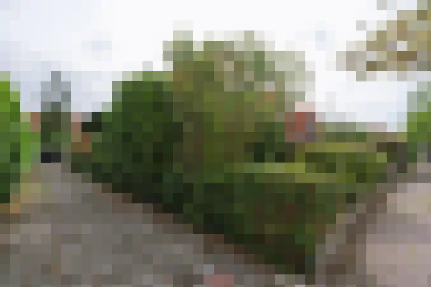 Graaf Willem de Oudelaan 26 Naarden thumbnail 63