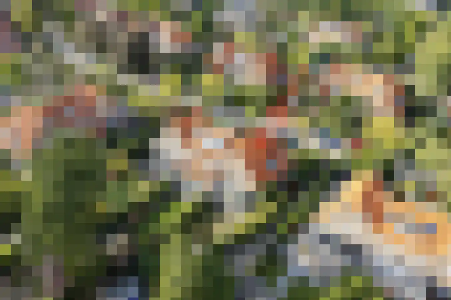 Graaf Willem de Oudelaan 26 Naarden thumbnail 70