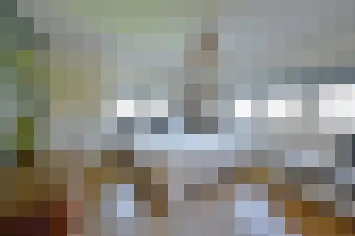 Graaf Willem de Oudelaan 36 Naarden thumbnail 16